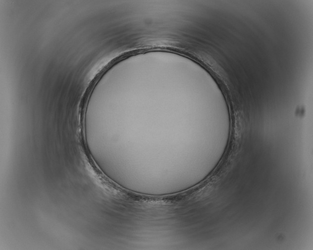 X0000110681031200907021905