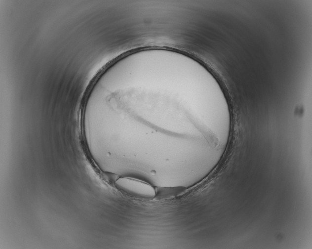 X0000110681032200907021905