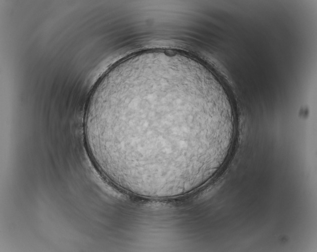 X0000110681033200907021905