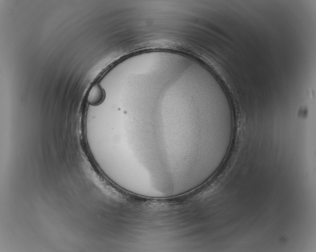 X0000110681034200907021905