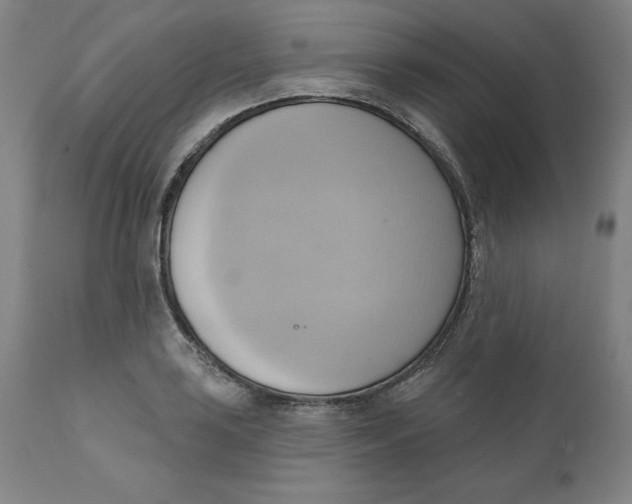 X0000110681035200907021905