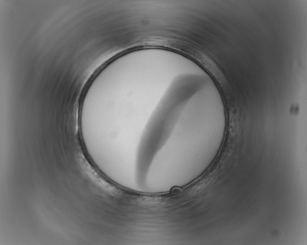 X0000110681036200907021905