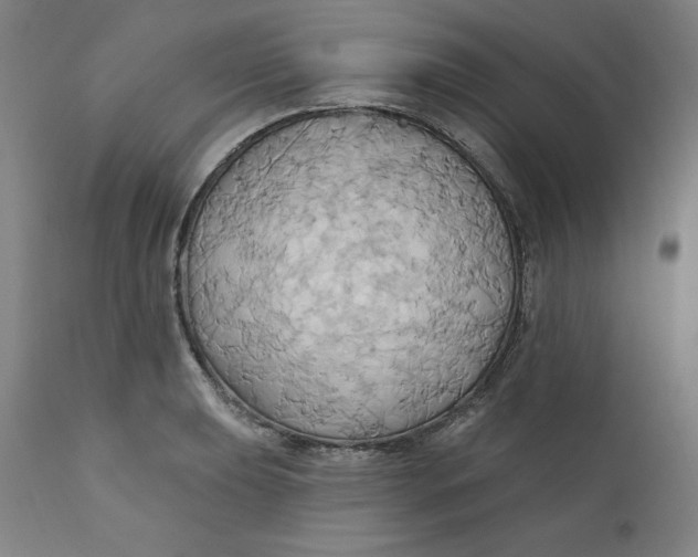 X0000110681039200907021905