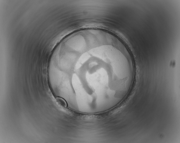 X0000110681041200907021906