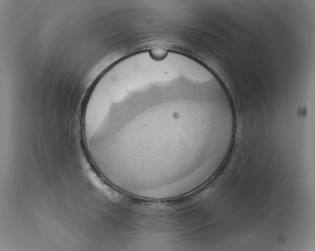 X0000110681042200907021906