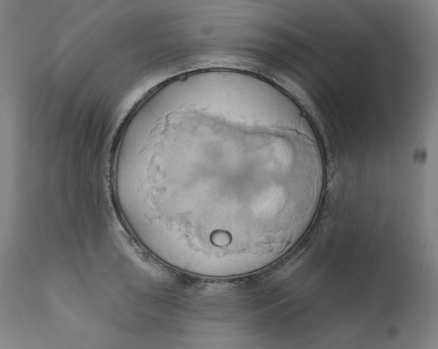 X0000110681043200907021906