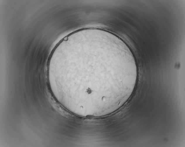 X0000110681044200907021906