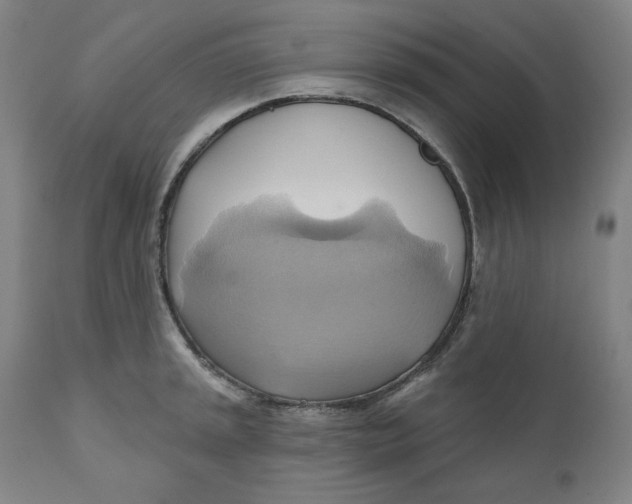 X0000110681045200907021906