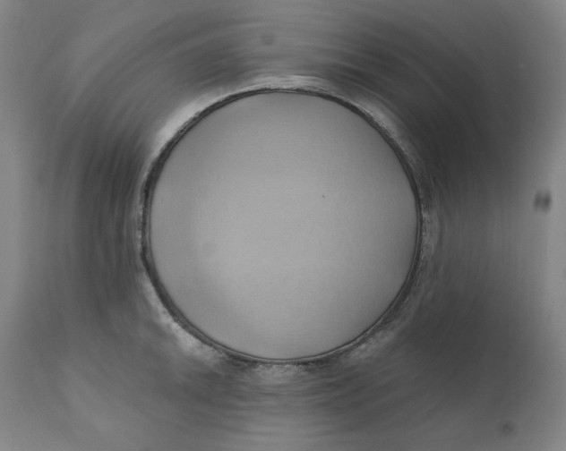 X0000110681046200907021906