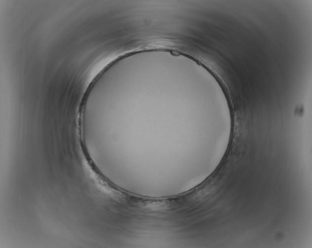 X0000110681047200907021906