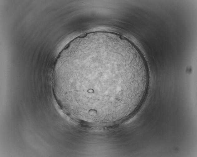 X0000110681049200907021906