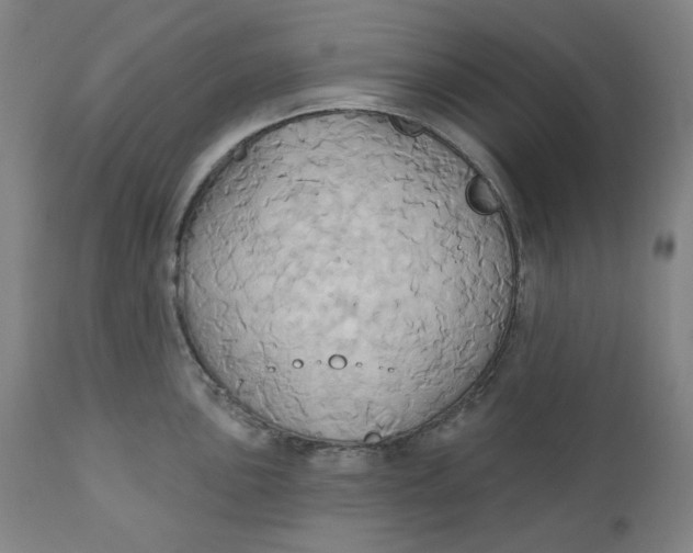 X0000110681051200907021906