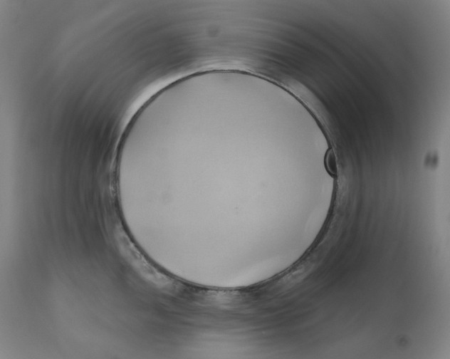 X0000110681052200907021906