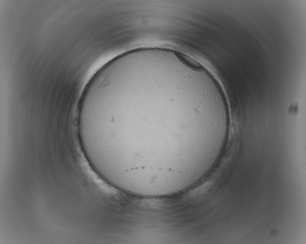 X0000110681053200907021906