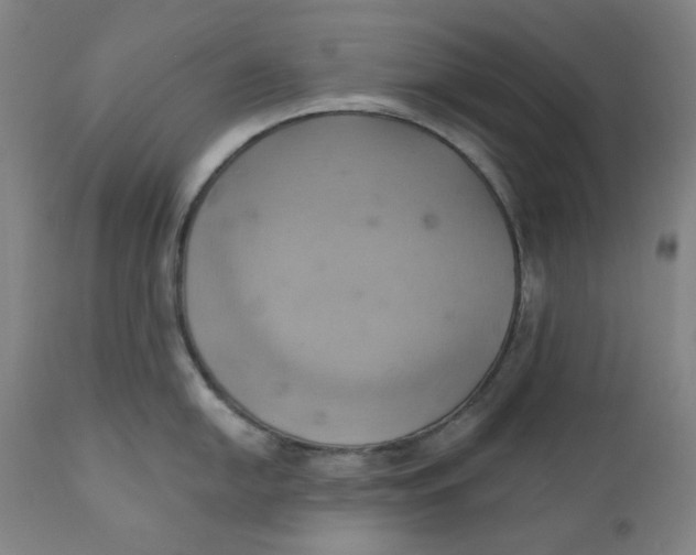 X0000110681054200907021906