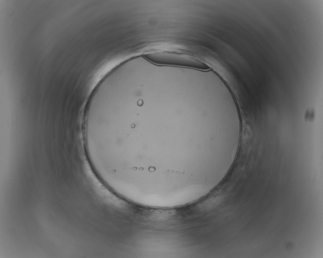 X0000110681055200907021906