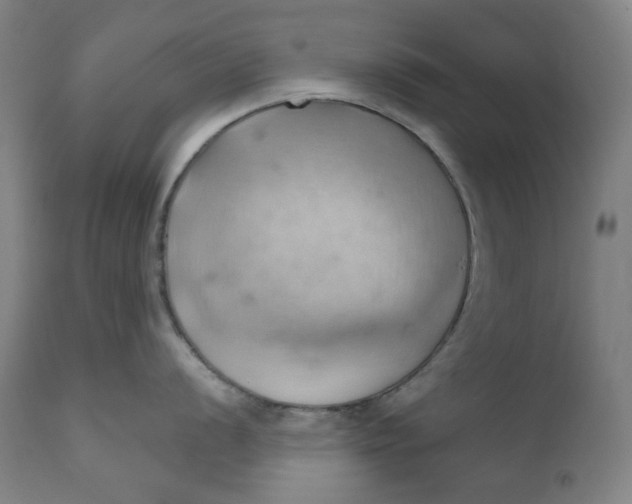 X0000110681056200907021906