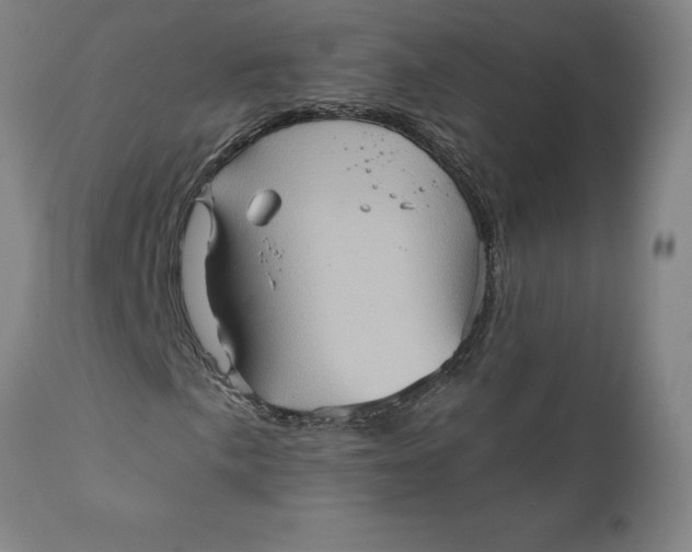 X0000110681057200907021905