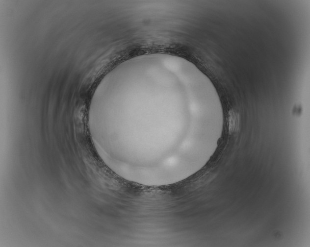 X0000110681059200907021905