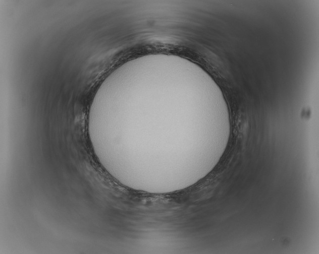 X0000110681061200907021905