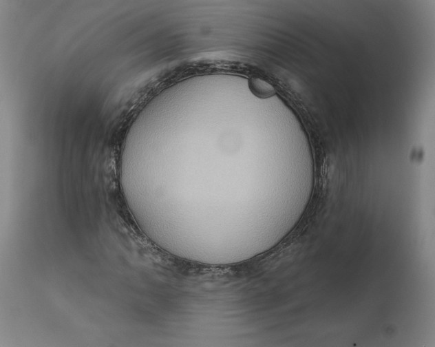 X0000110681062200907021905