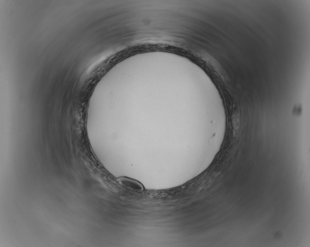 X0000110681064200907021905