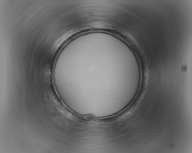 X0000110681065200907021905