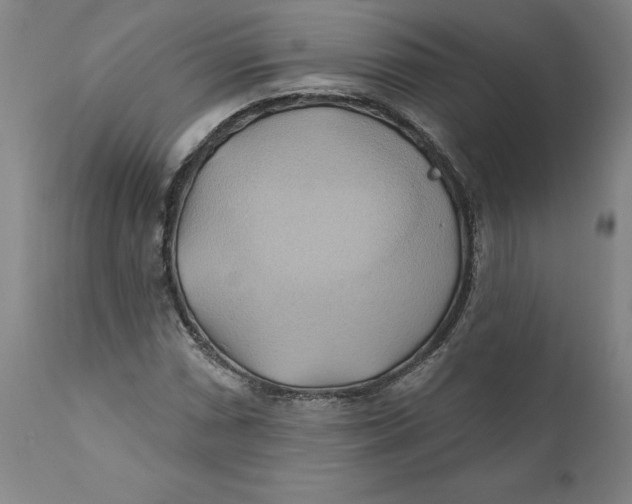 X0000110681066200907021905