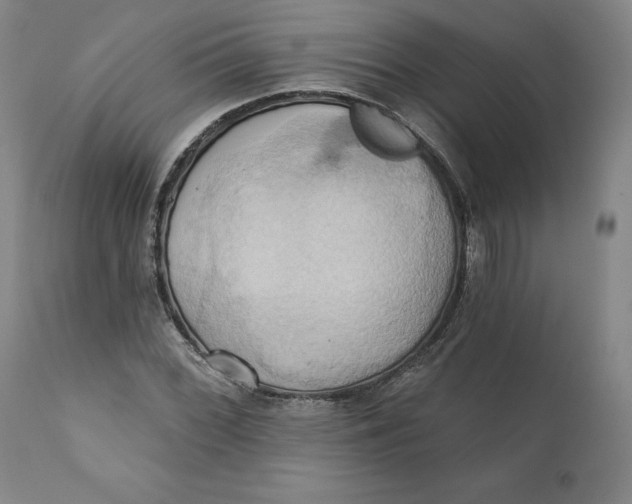 X0000110681068200907021905