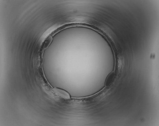 X0000110681069200907021905