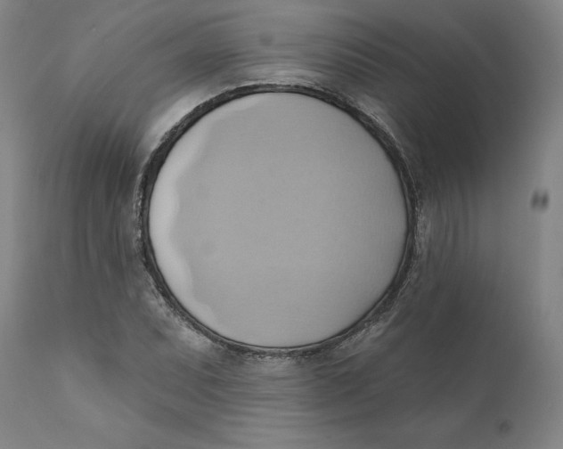 X0000110681071200907021905