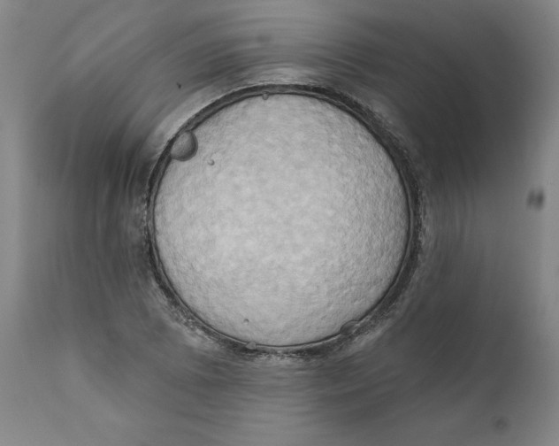 X0000110681073200907021905