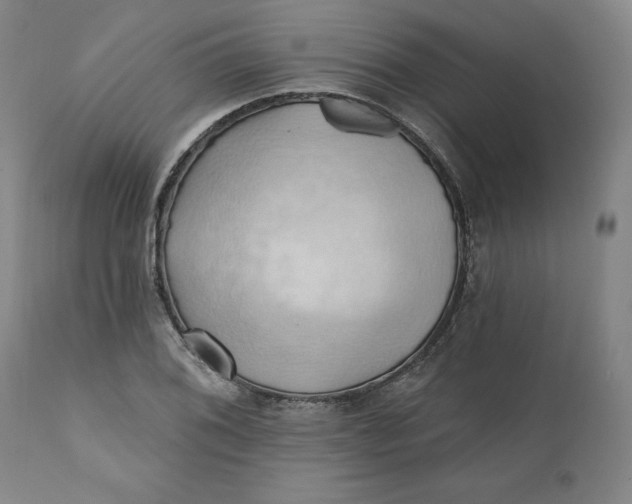 X0000110681076200907021904