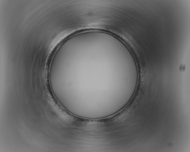 X0000110681077200907021904