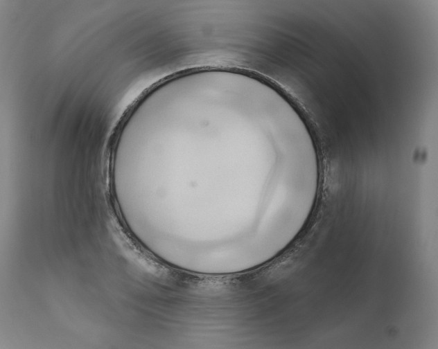 X0000110681078200907021904