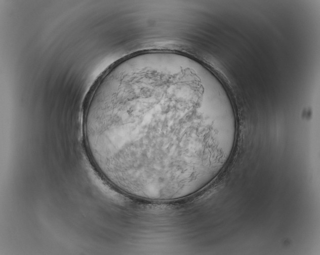 X0000110681079200907021904