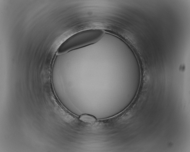 X0000110681081200907021904