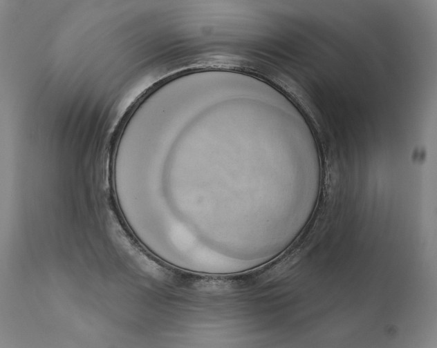 X0000110681083200907021904