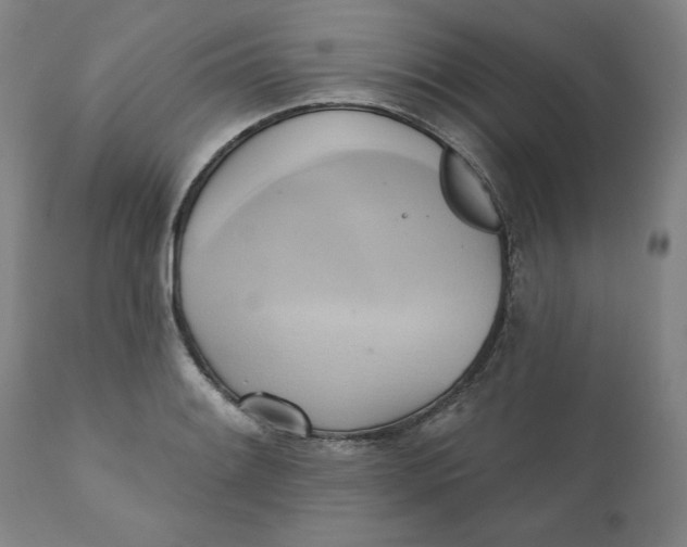 X0000110681084200907021904