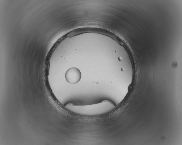 X0000110681085200907021904