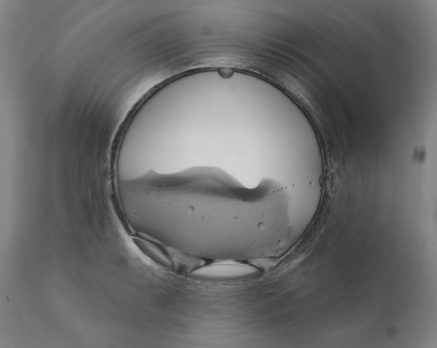 X0000110681087200907021904