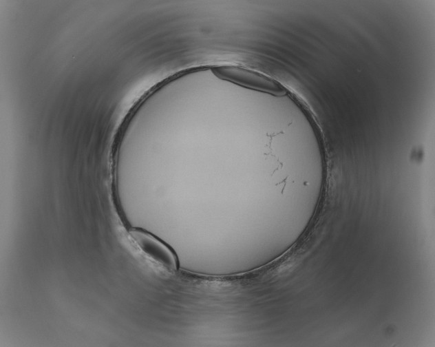 X0000110681088200907021904