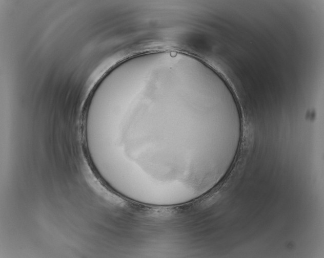 X0000110681090200907021904