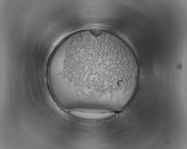 X0000110681091200907021904