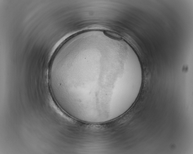 X0000110681092200907021904