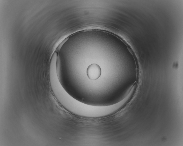 X0000110681097200907021904