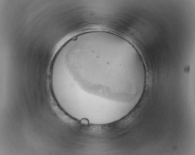 X0000110681098200907021904