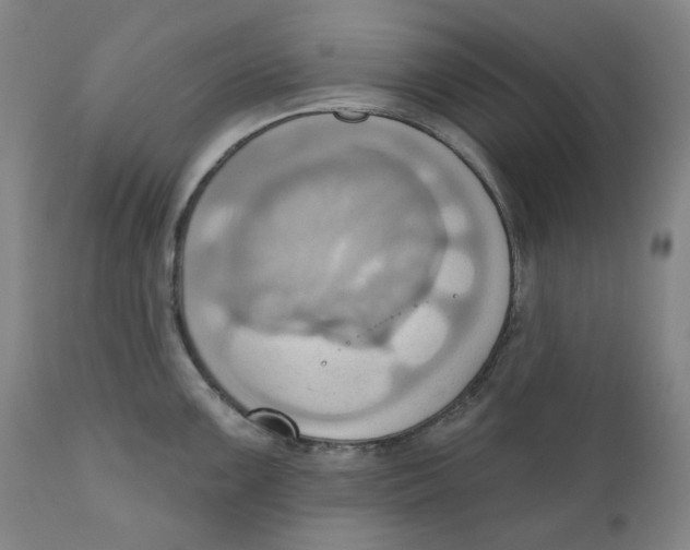 X0000110681099200907021904