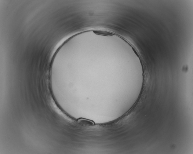 X0000110681100200907021904