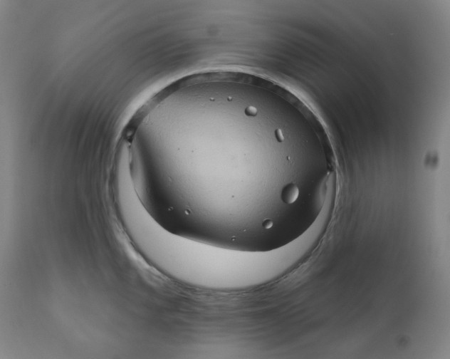 X0000110681101200907021904